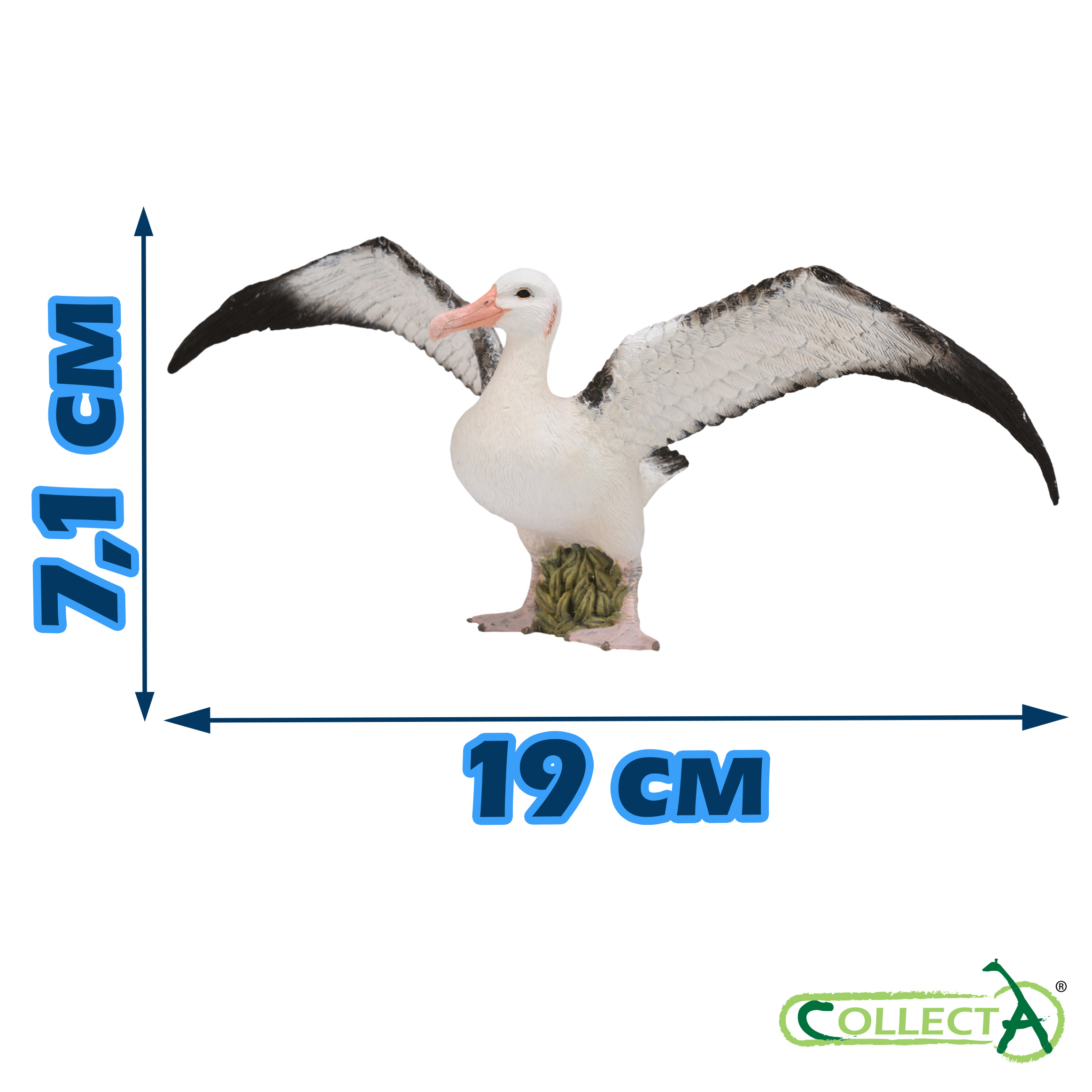 Фигурка Collecta Странствующий альбатрос - фото 2