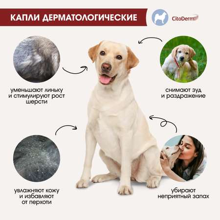 Капли для собак CitoDerm 10-30кг дерматологические 3мл