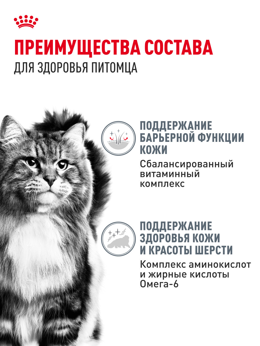 Корм для кошек Royal Canin 85г Hair and skin для поддержания здоровья кожи и красоты шерсти тонкие ломтики в желе - фото 3
