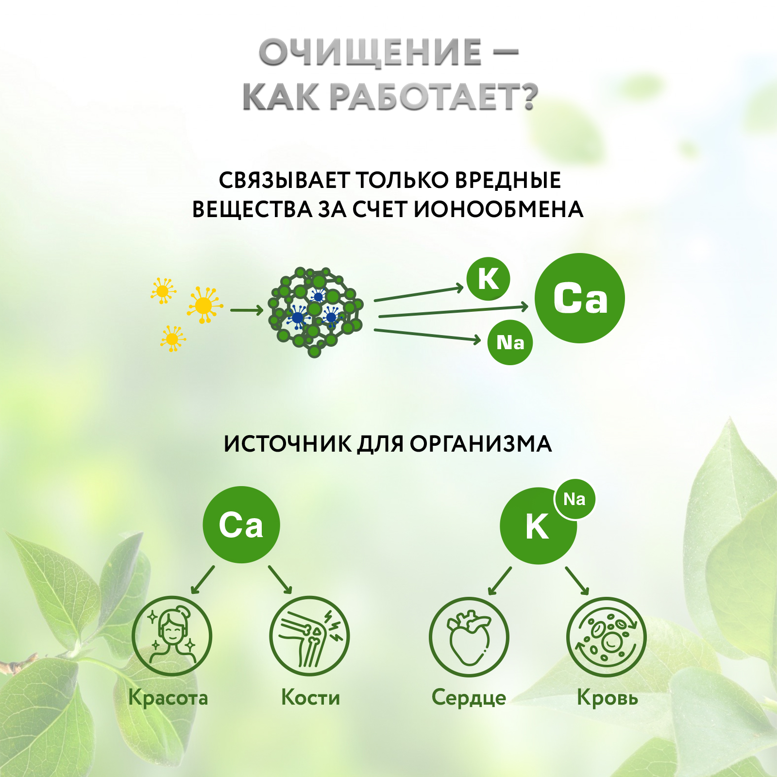 Цеолит сорбент пищевой природный Zeo Detox для детокса организма 200г. - фото 8