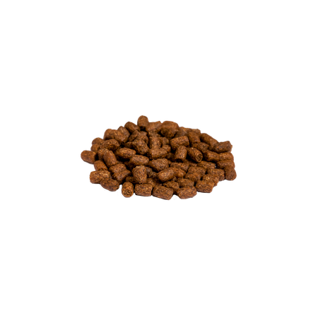 Корм сухой Profifeed Для котят 10кг