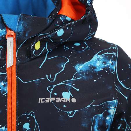 Куртка Icepeak