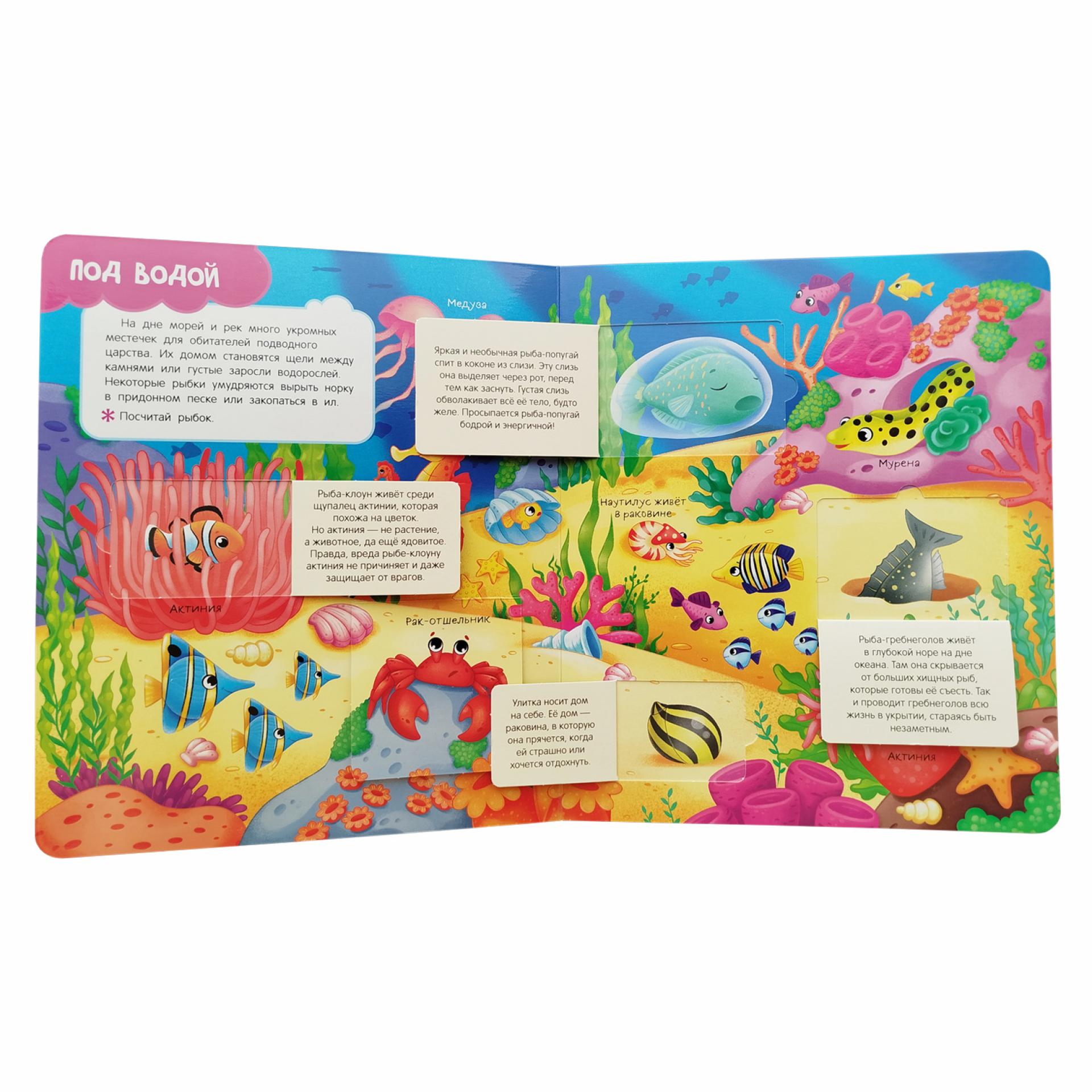 Книга Росмэн Кто где живет Книги с окошками - фото 3