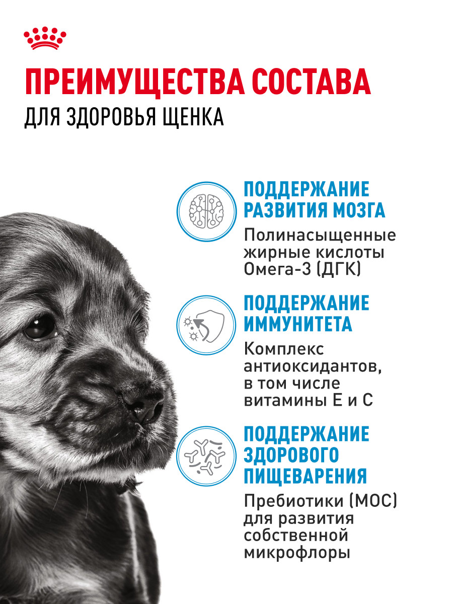 Корм для щенков Royal Canin Mini Puppy мелких пород до 10 месяцев кусочки в соусе пауч 85г - фото 3