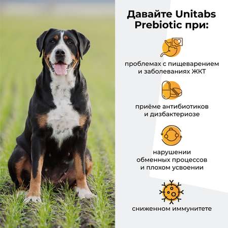 Витамины для кошек и собак Unitabs Prebiotic 100таблеток