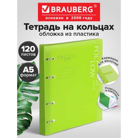 Тетрадь со сменным блоком Brauberg клетка 120 лист.