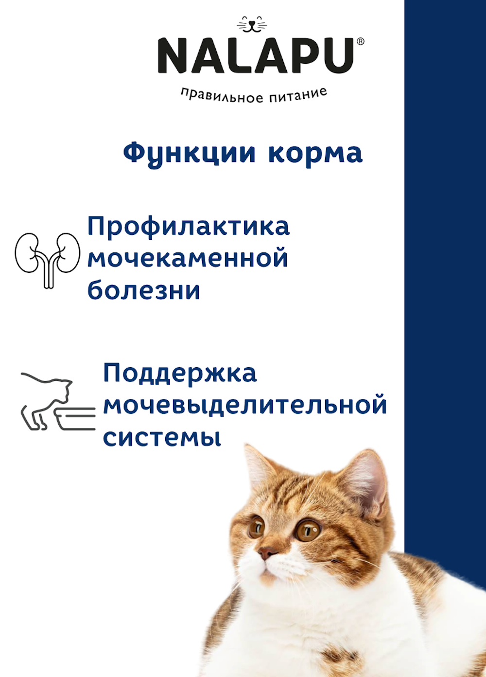 Корм для кошек NALAPU Urinary для стерилизованных с индейкой в желе 77г - фото 4