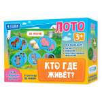 Настольная игра ГЕОДОМ Лото