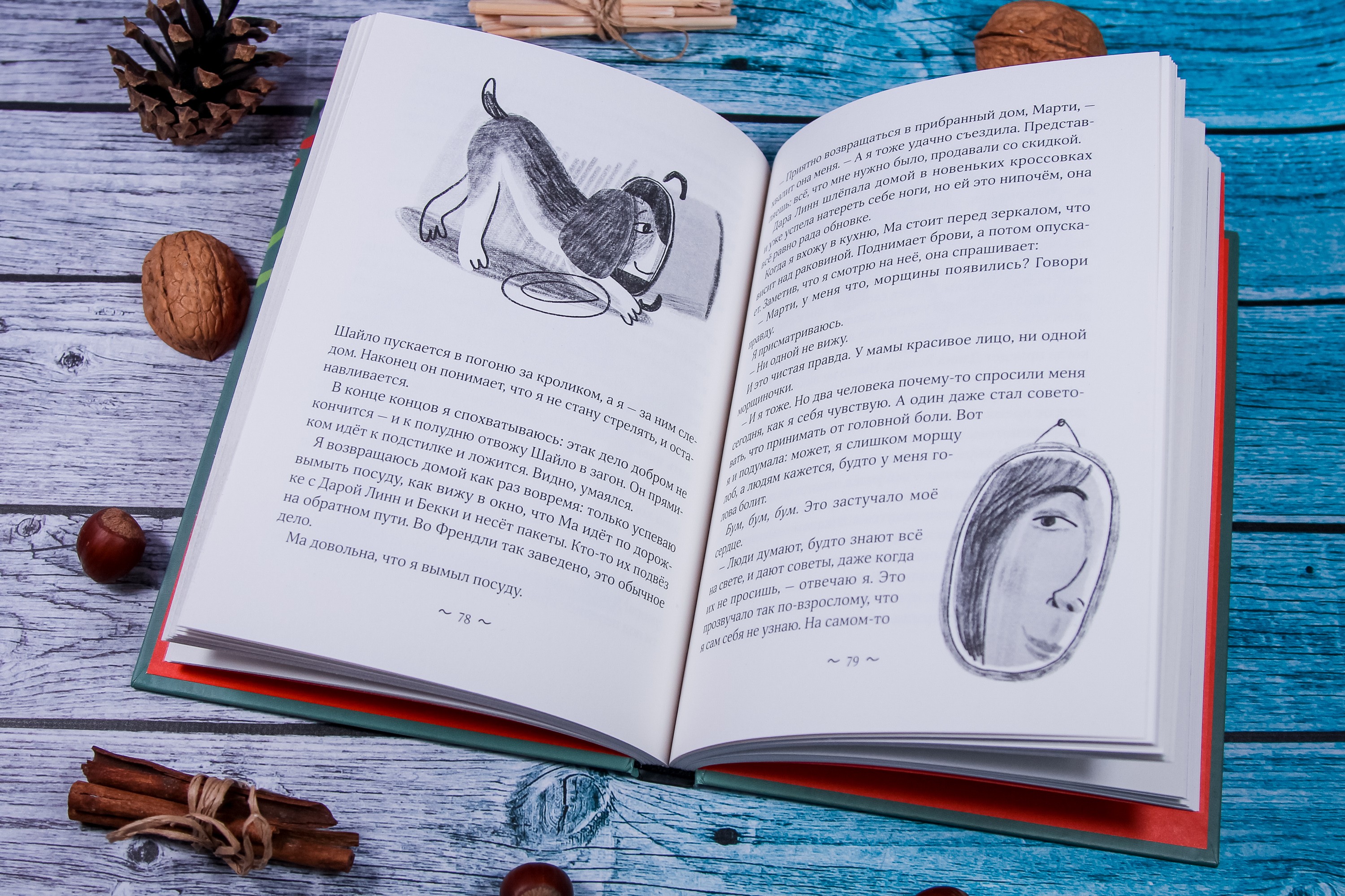 Книга Волчок Шайло - фото 6