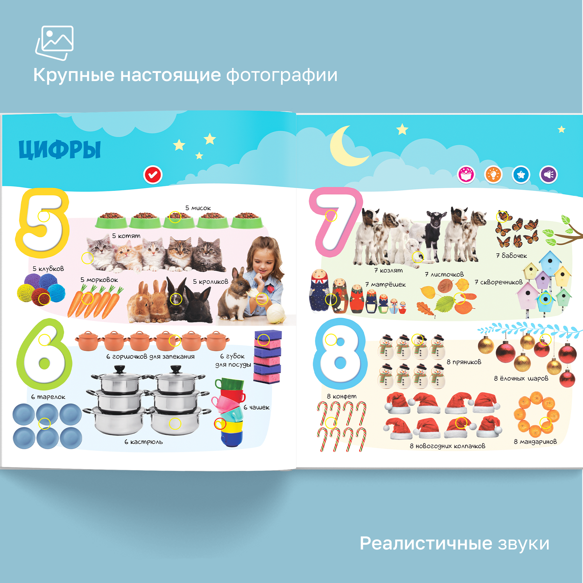 Говорящая книжка BertToys большая нажималка Первые знания - фото 3