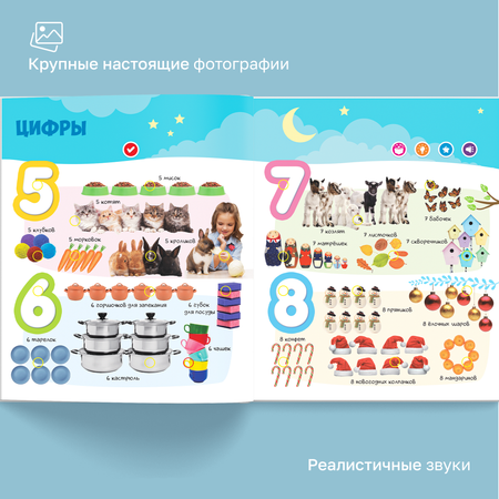 Говорящая книжка BertToys большая нажималка Первые знания