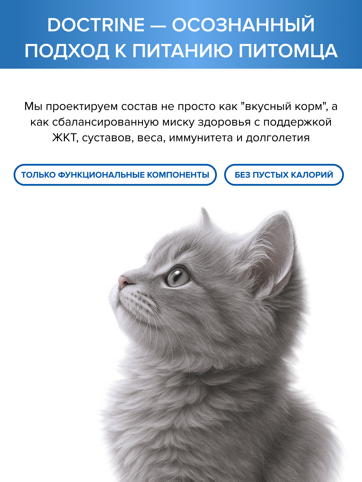 Корм для котят DOCTRINE сухой с лососем и белой рыбой 3 кг - фото 10