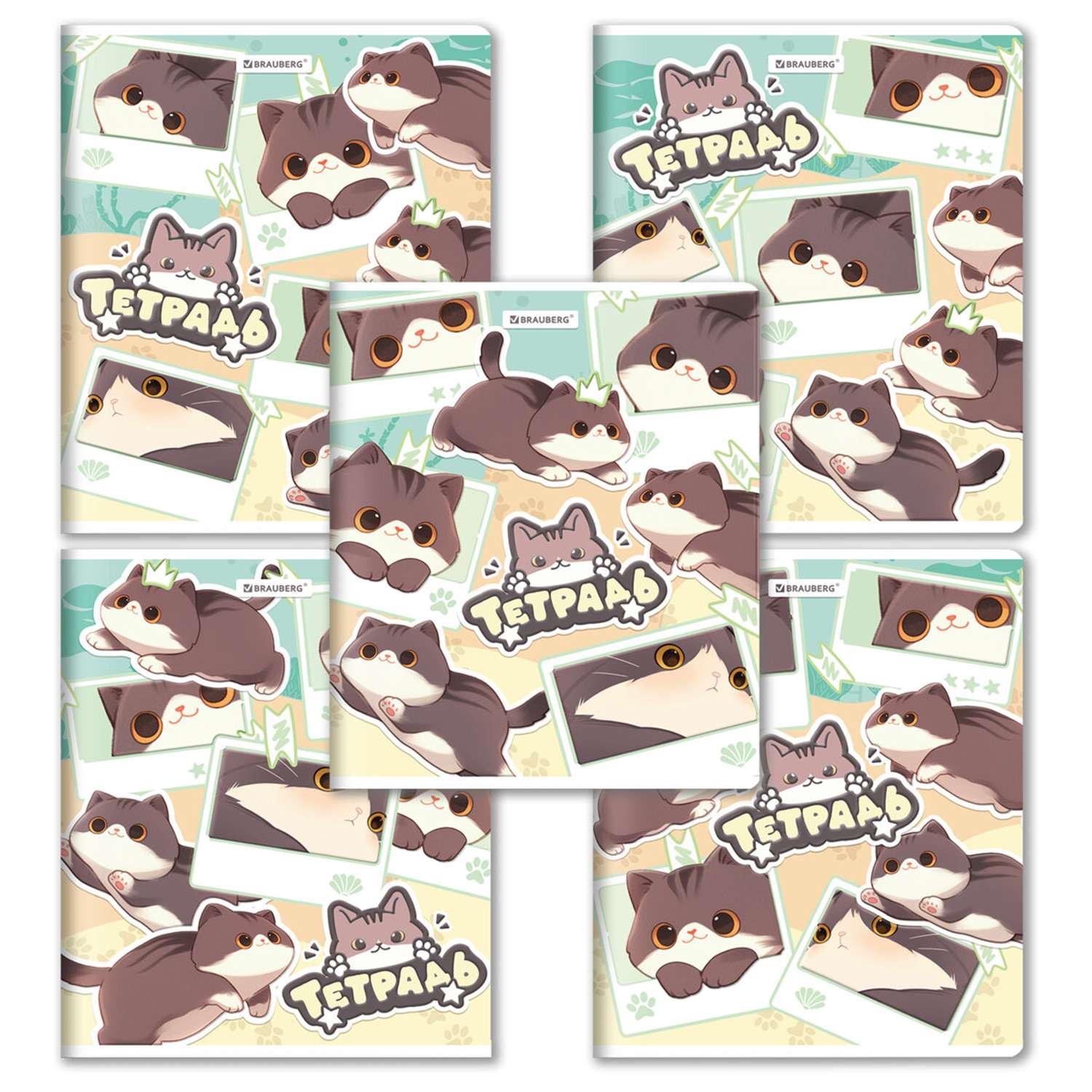 Тетрадь Brauberg клетка 48 лист. в ассортименте - фото 1