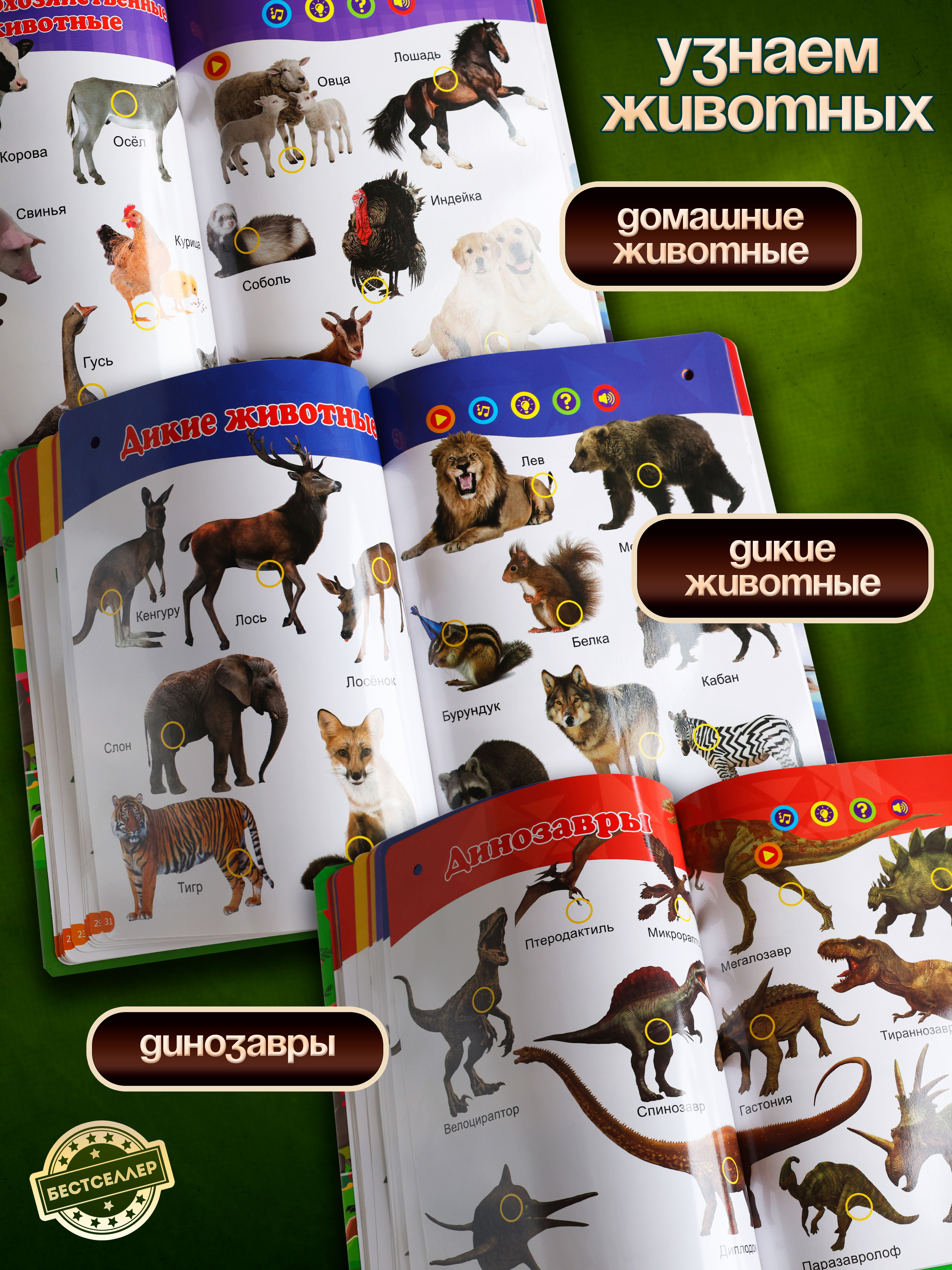 Обучающая книжка-плакат Бестселлер Буквы и цифры - фото 17