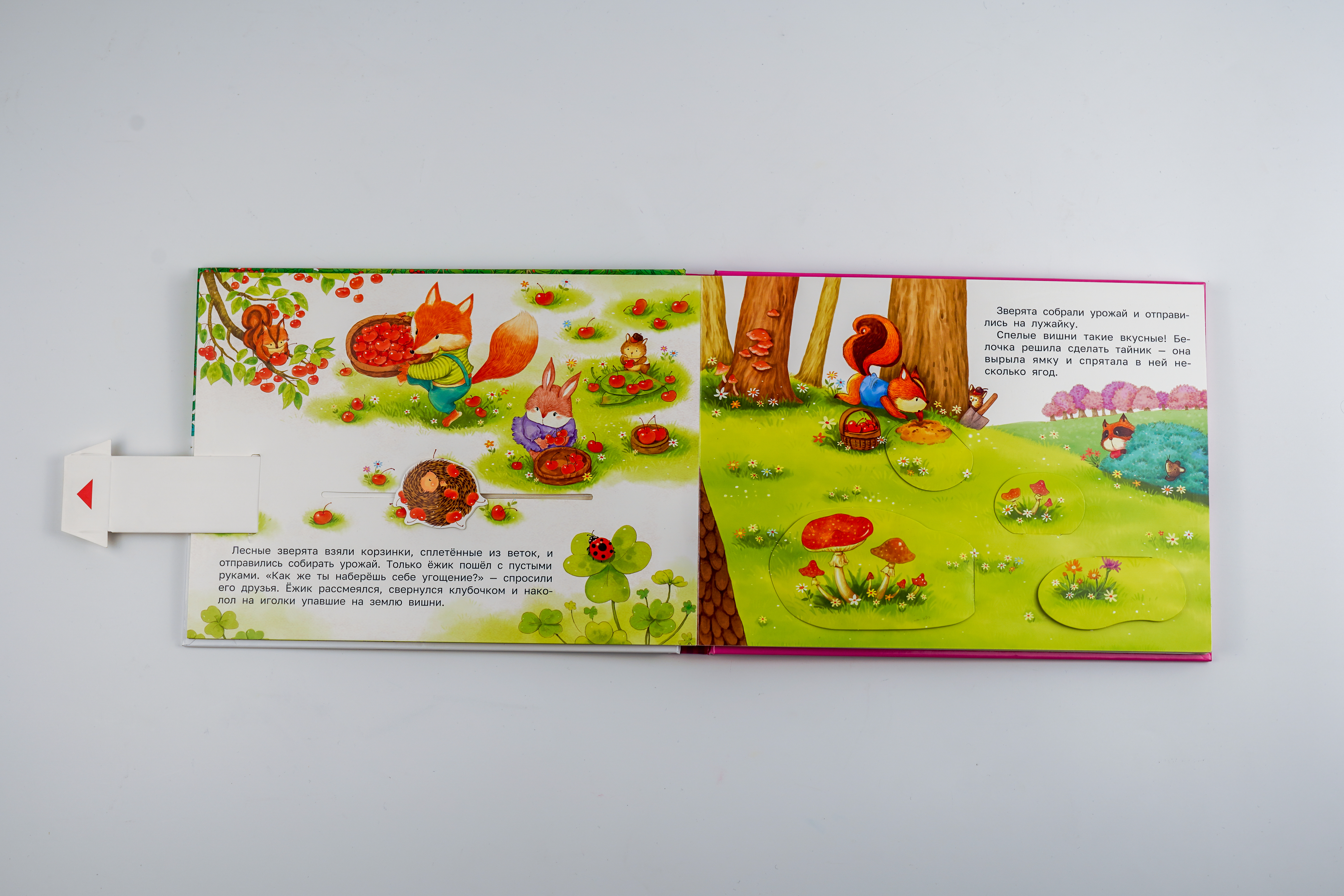 Книга АСТ Как зверята собирали урожай - фото 7