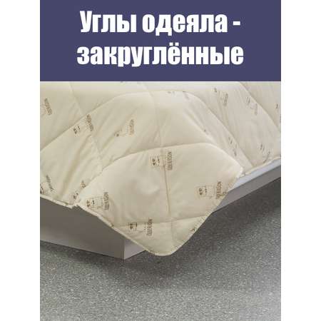 Одеяло Мягкий сон одеялсон 172x205 см