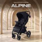 Коляска прогулочная Rant Basic Alpine черный