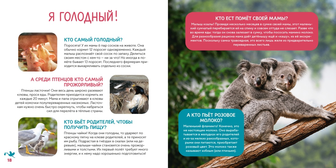 Книга Махаон Энц Лепети Э Бурсэ К Эделин П Моя первая книга о животных 200 фотографий - фото 8