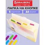 Папка-органайзер Brauberg А4