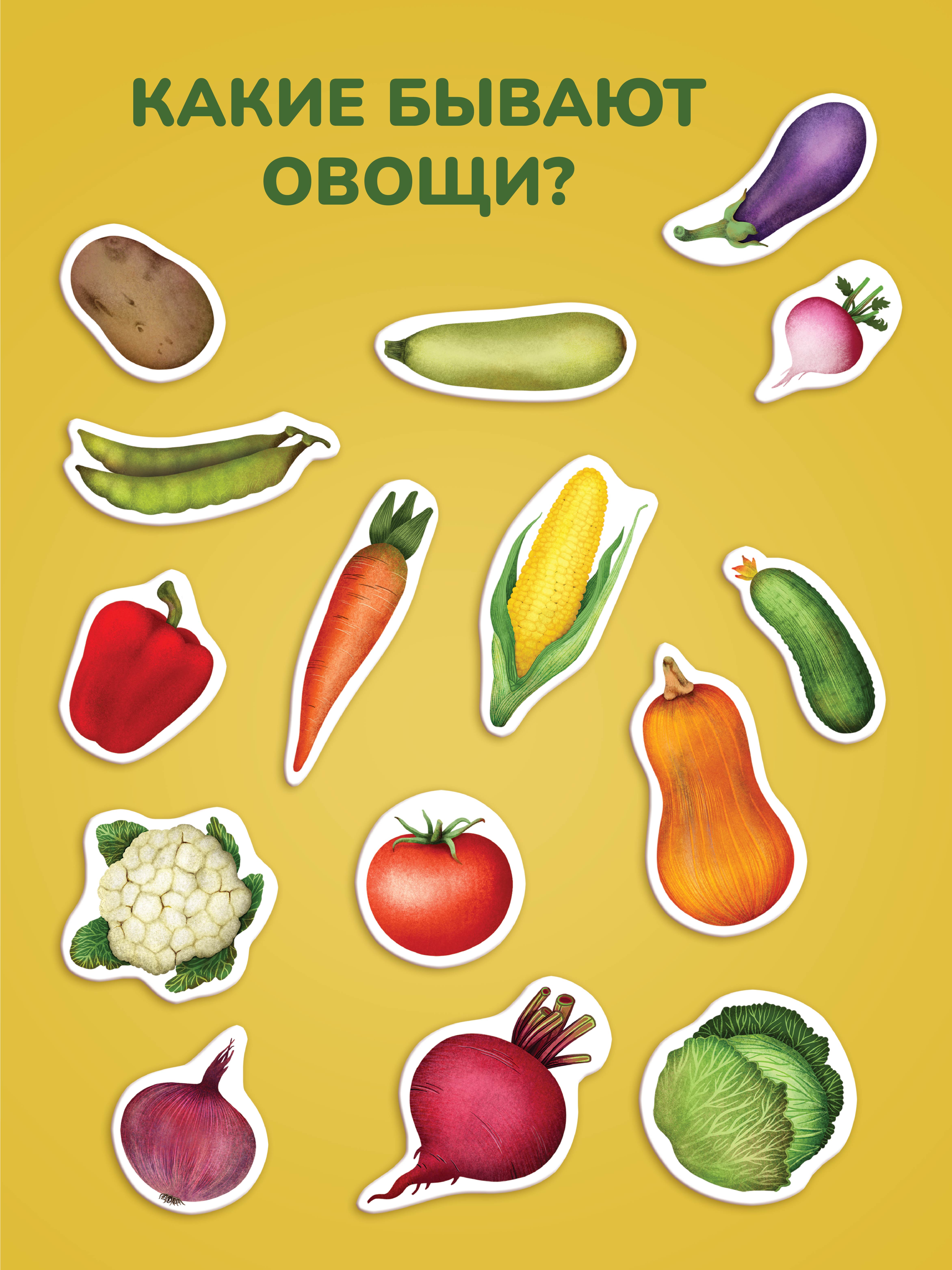 Игрушка Mapacha рамка-вкладыш - фото 5