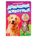 Книжка Буква-ленд Домашние животные 10 стр Микс