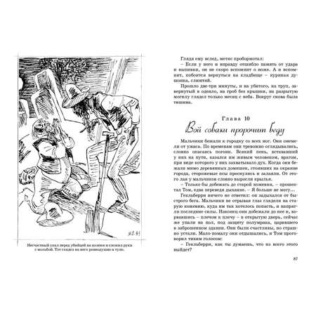 Книга ЭНАС-книга Приключения Тома Сойера