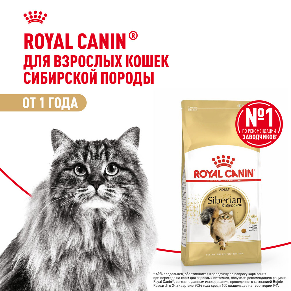 Корм сухой для кошек ROYAL CANIN Siberian 2кг сибирских пород - фото 1