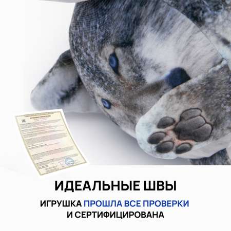 Сквиш Мемограм