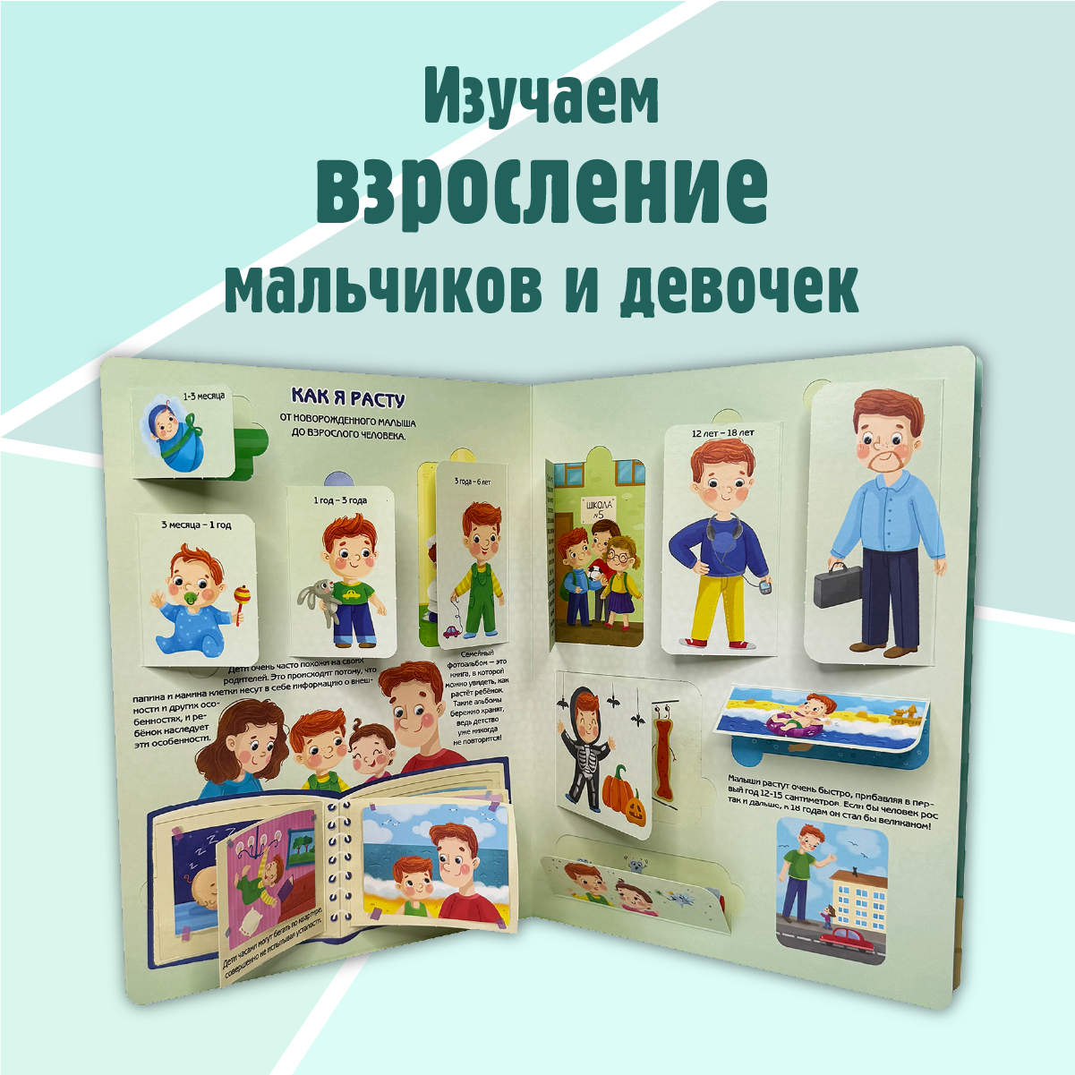 Энциклопедия с окошками БимБиМон книга детская - фото 2