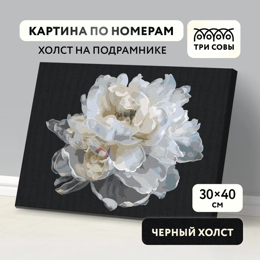Картина по номерам ТРИ СОВЫ Белый цветок - фото 1