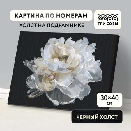Картина по номерам ТРИ СОВЫ Белый цветок
