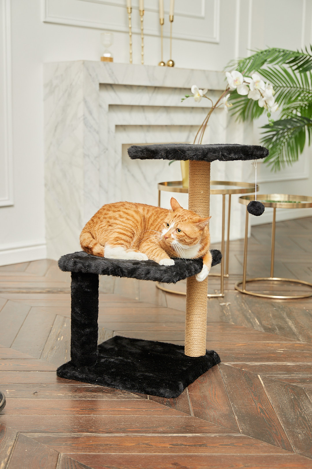 Когтеточка для кошек лежанка Pet БМФ Черный - фото 5