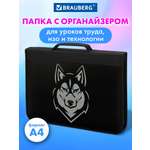 Папка для труда Brauberg А4