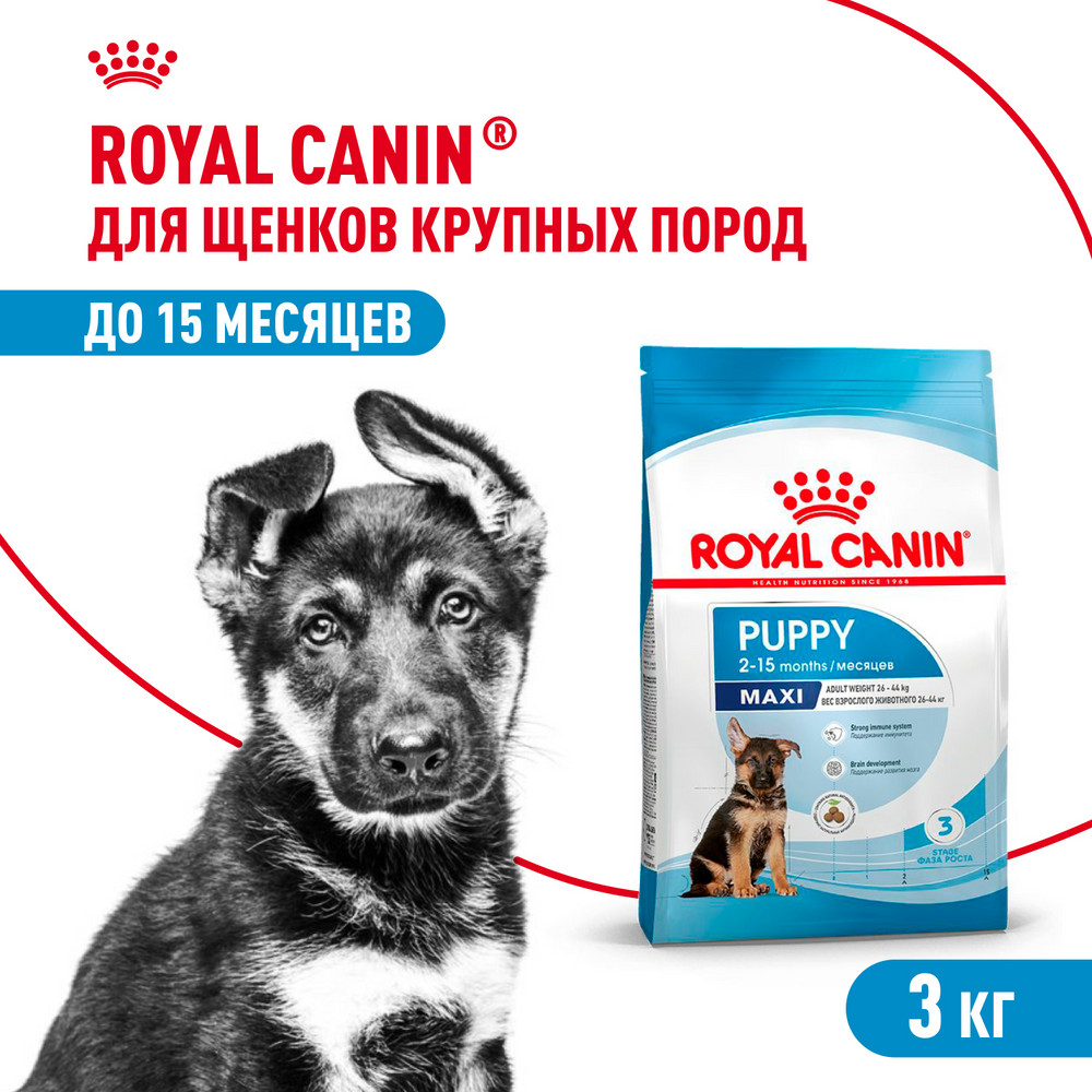 Корм для щенков ROYAL CANIN Maxi Puppy 3кг - фото 1