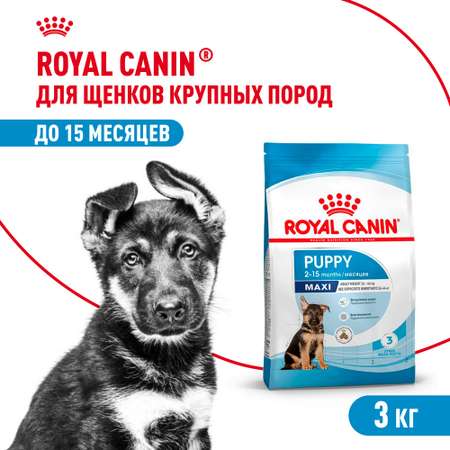 Корм для щенков ROYAL CANIN Maxi Puppy 3кг