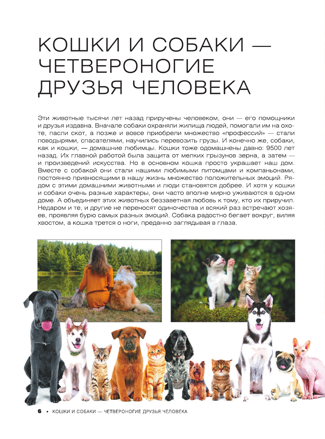 Книга АСТ Большая книга о кошках и собаках 1001 фотография - фото 10