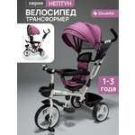 Трехколесный велосипед DinaMiX 10 дюймов