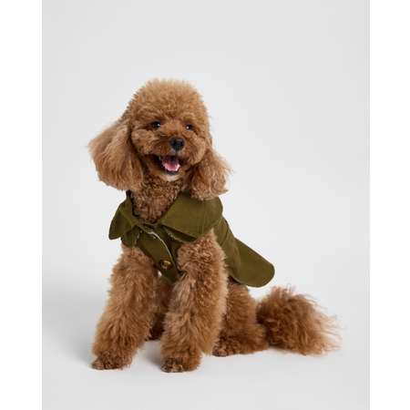 Тренч для собак и кошек Зоозавр