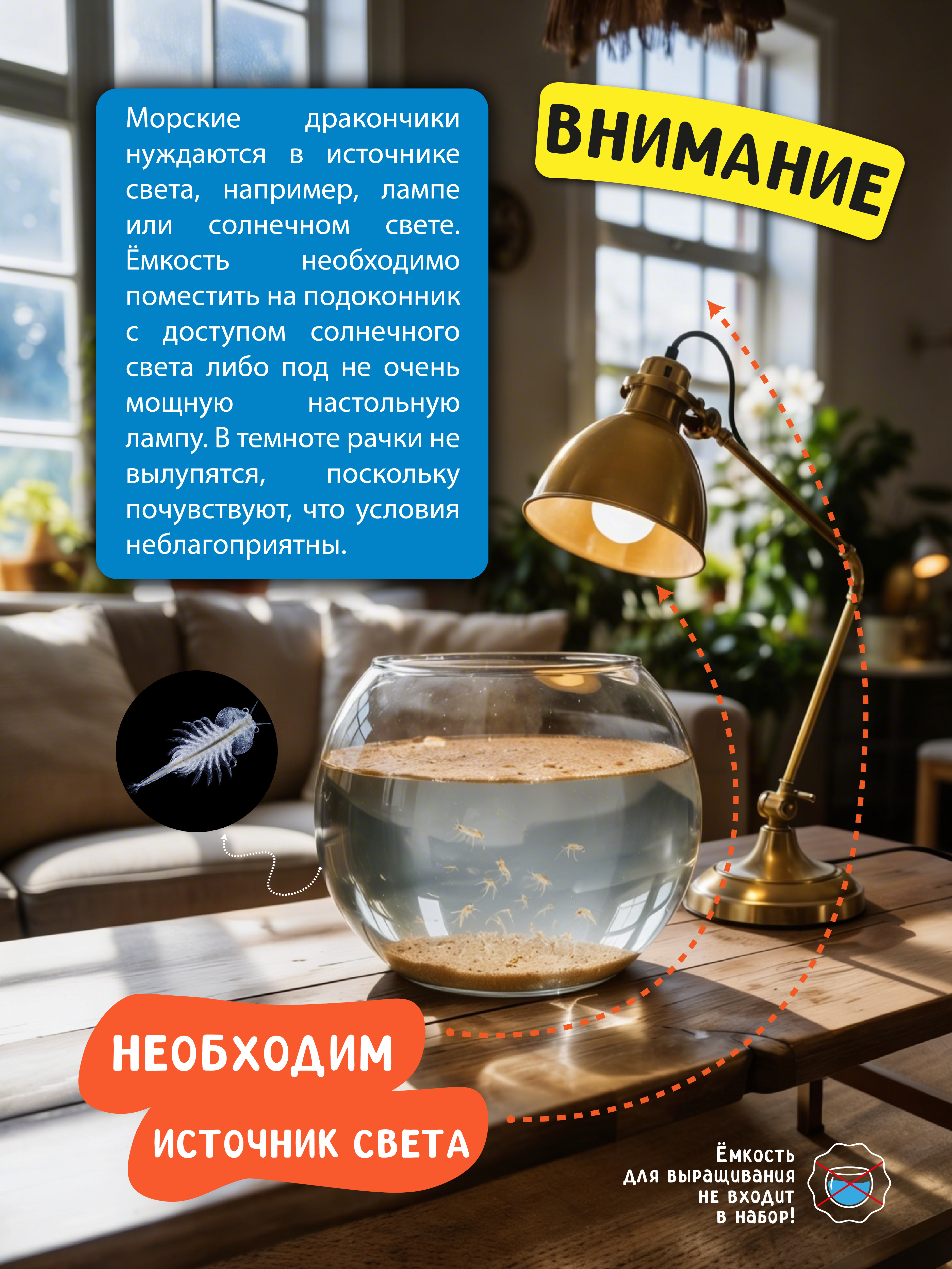 Набор для выращивания ВИСМА Вырасти Морские Дракончики - фото 5