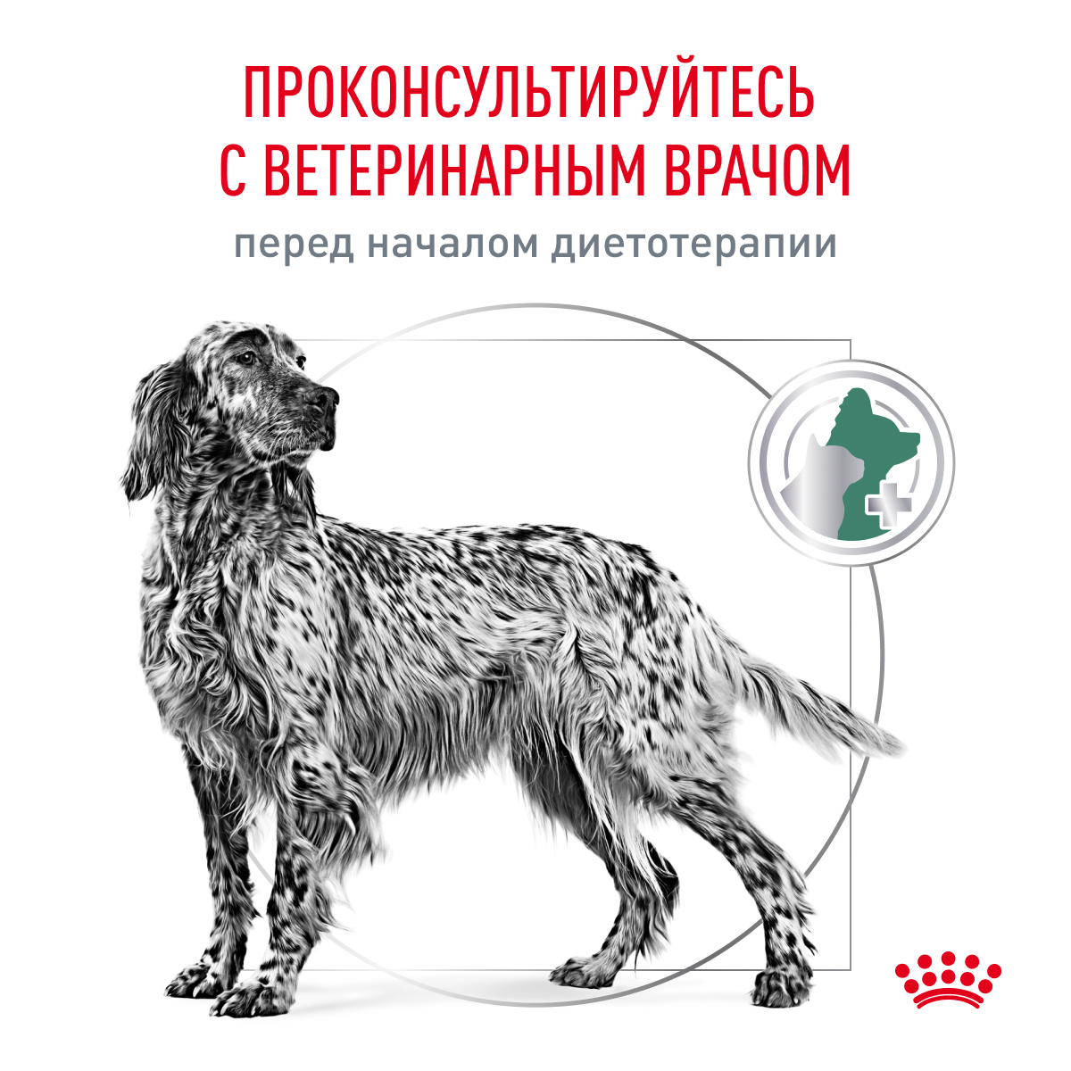 Корм для собак ROYAL CANIN Diabetic DS37 при сахарном диабете 12кг - фото 8