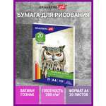 Художественная бумага Brauberg для графики 20 лист.