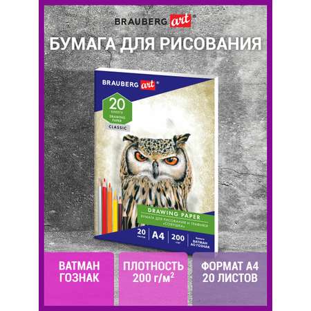 Художественная бумага Brauberg для графики 20 лист.