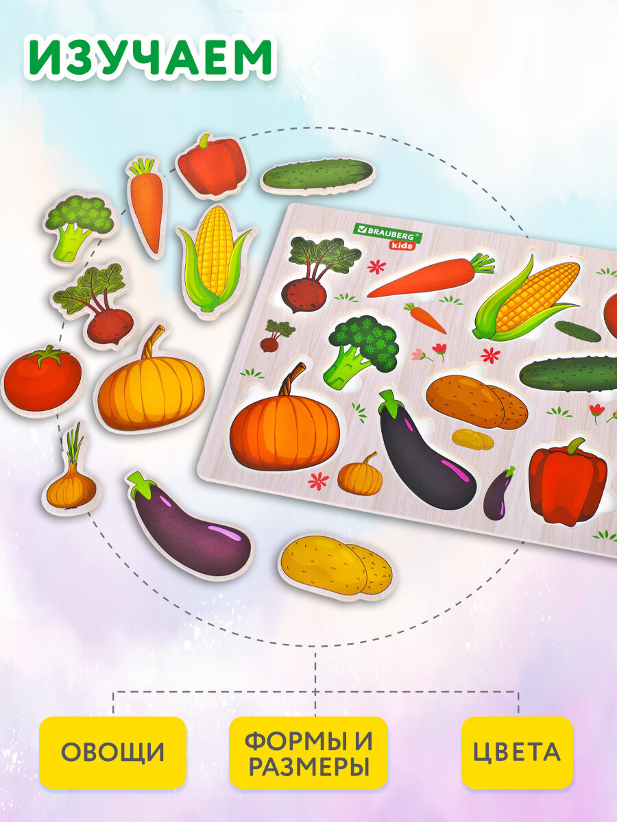 Игрушка Brauberg рамка-вкладыш овощи - фото 5
