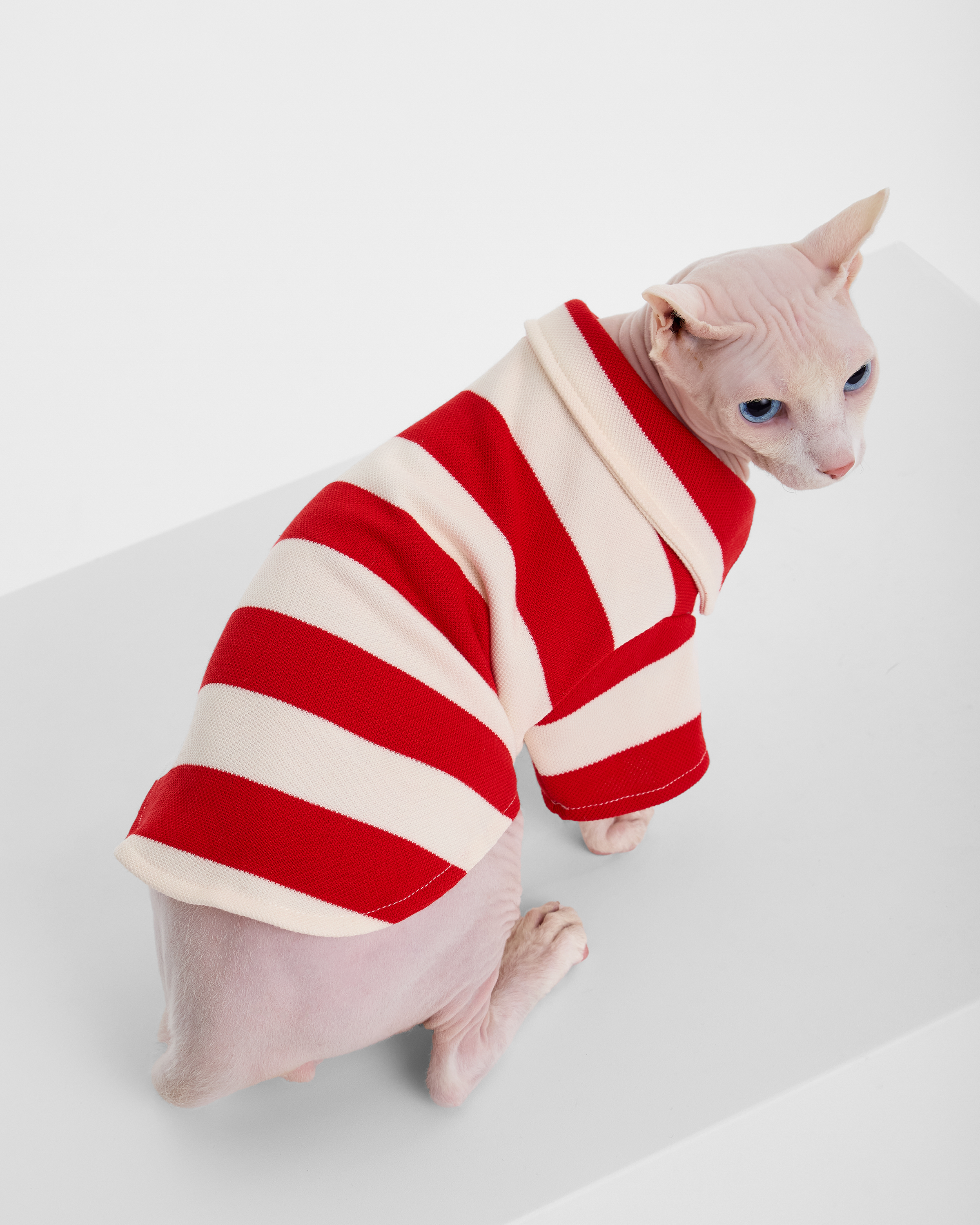 Поло для собак и кошек Зоозавр - фото 11