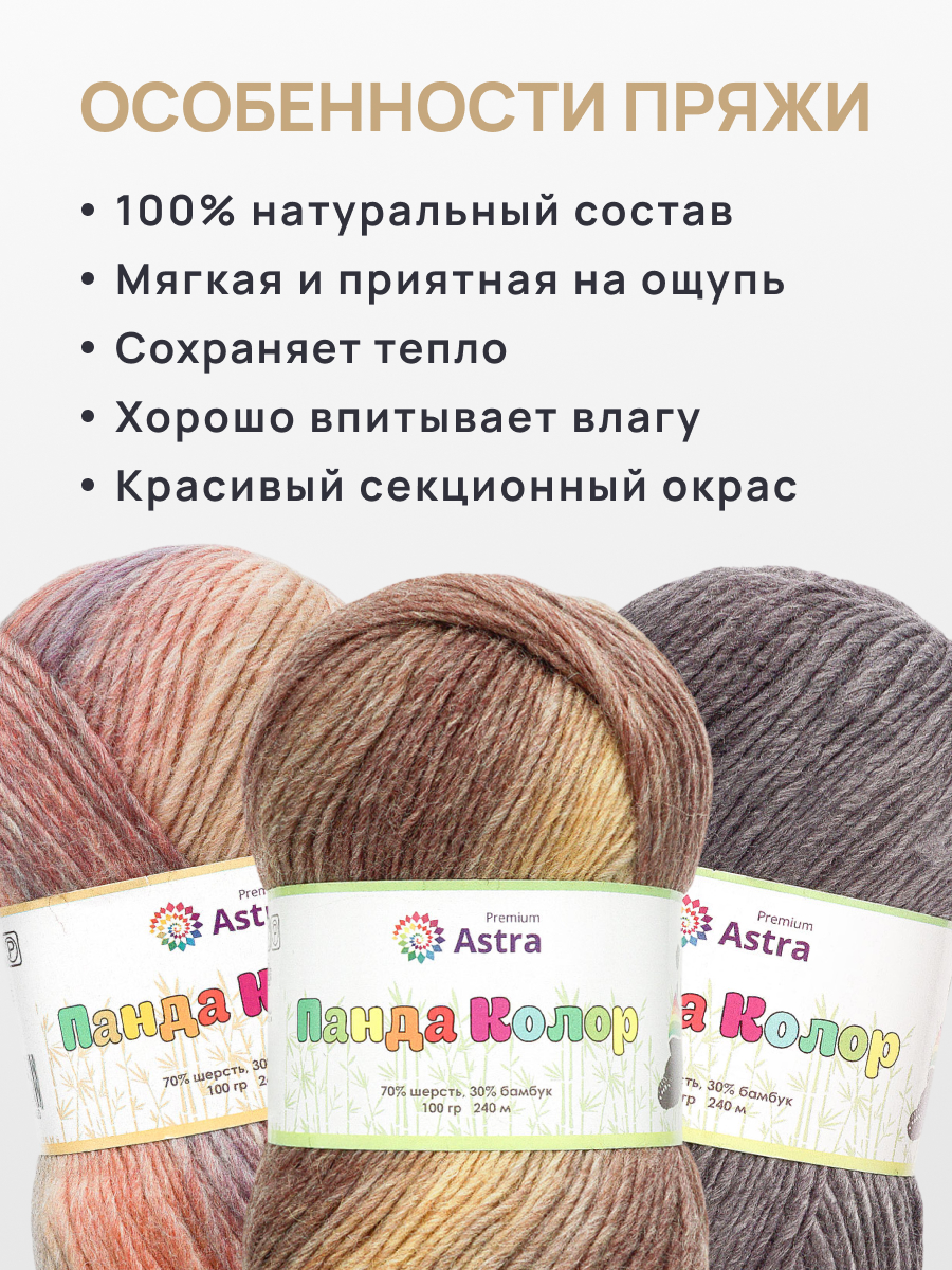 Пряжа для вязания Astra Premium 100г 240м 3 - фото 3