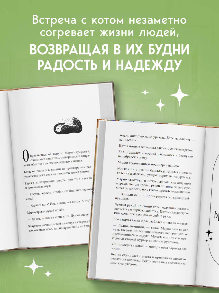 Книга БОМБОРА Кот с семью именами Счастье приходит к тому кто верит в чудеса - фото 4