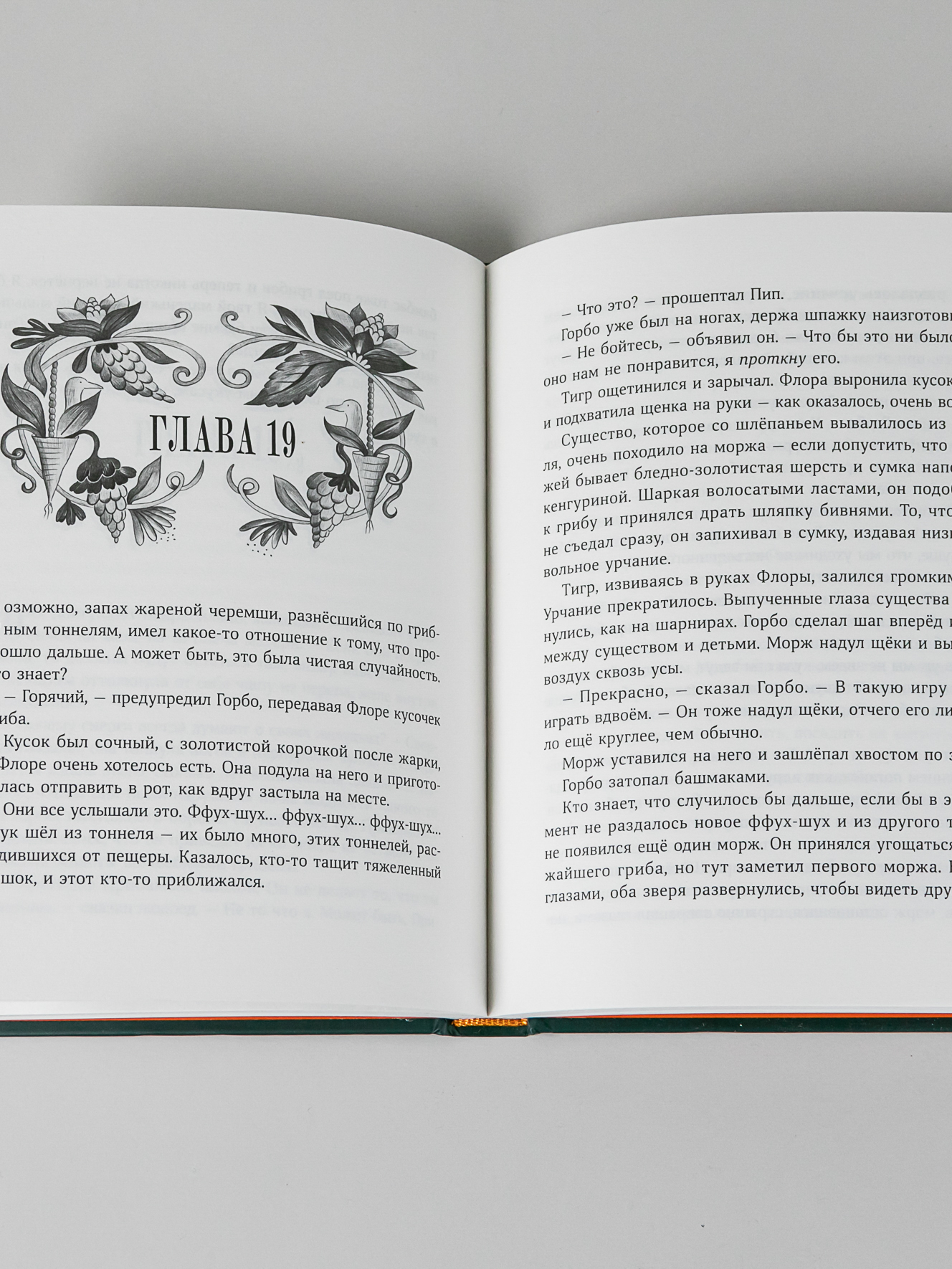 Книга Альпина. Дети Изумительная Страна Снергов - фото 9