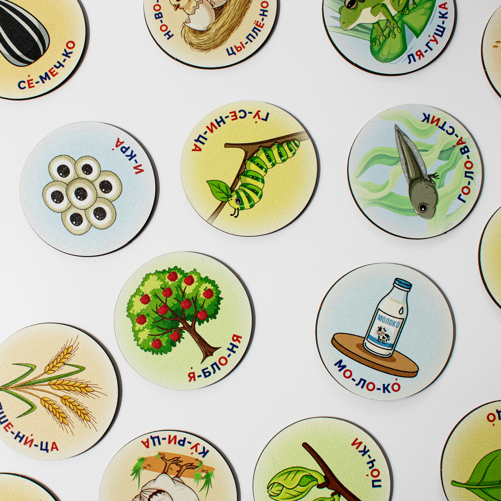 Конструктор МУЛЬТИЗАВРИК деревянный - фото 9