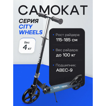 Самокат Рыжий кот двухколесный