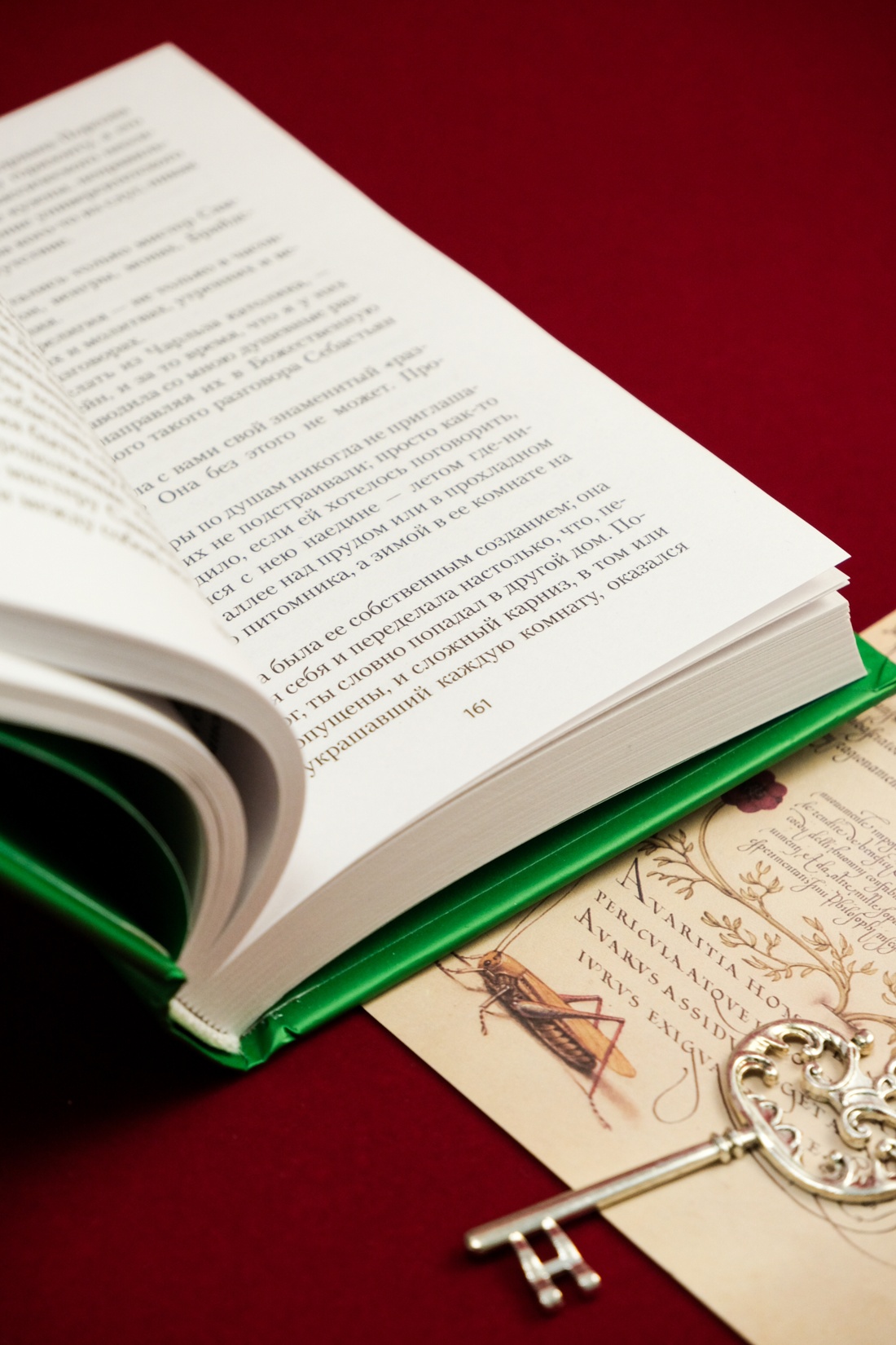 Книга АЗБУКА НастрЧит./Во И./Возвращение в Брайдсхед - фото 14